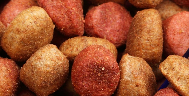 Animal Food & Health Animal Food & Health